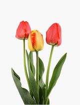 Bloomsflowersdubai-about-us-7