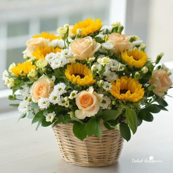 serene sunflowers