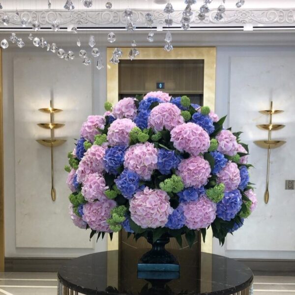 Orchid Opulence