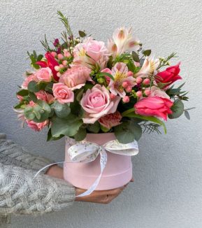 Flower Boxes