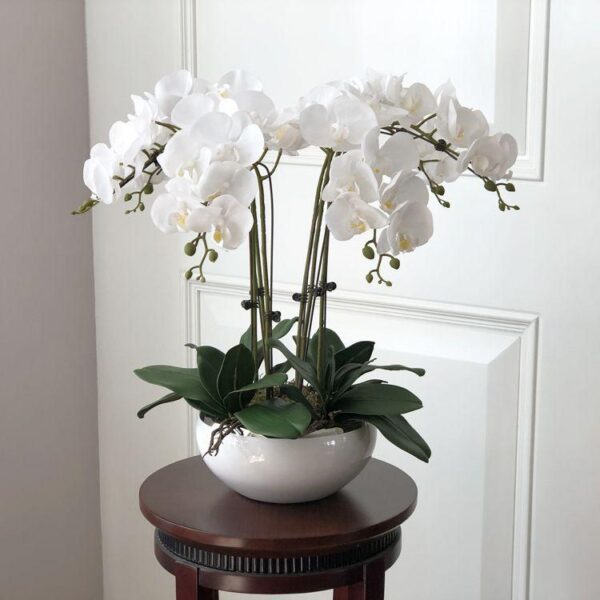 white garden