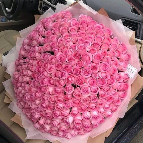 201 RULLES OF LOVE