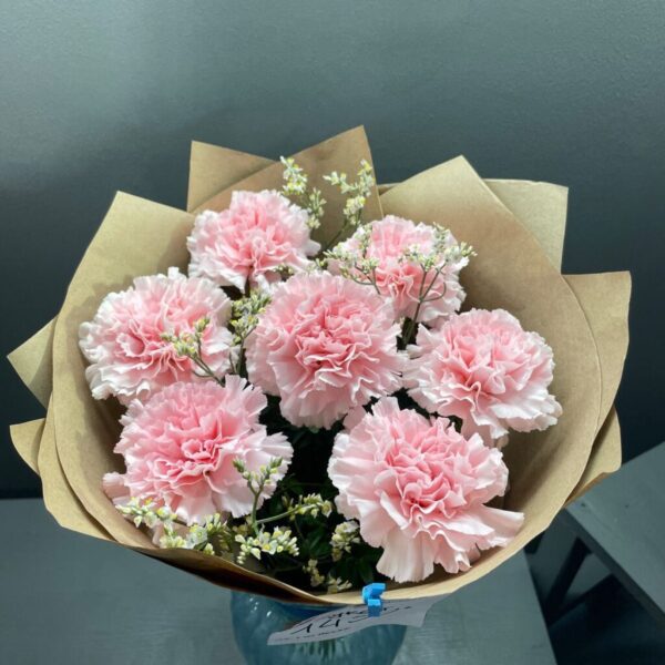 PINK CARNATIONS