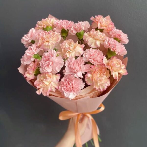 21 CARNATIONS
