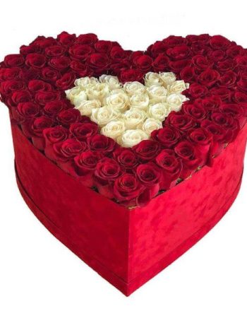 valentines 5