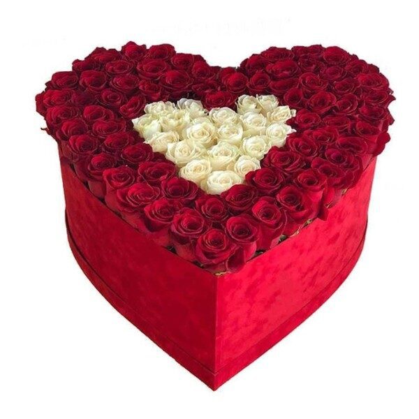 valentines 5