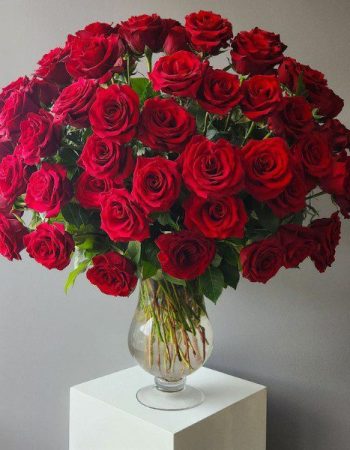 valentines 6