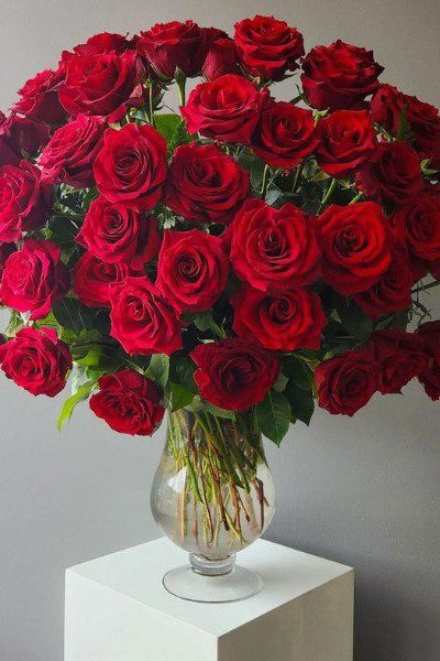 valentines 6