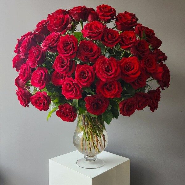 valentines 6
