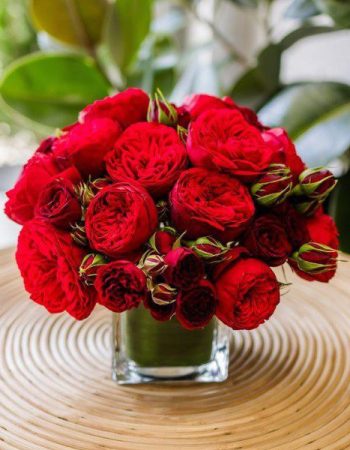 valentines 7