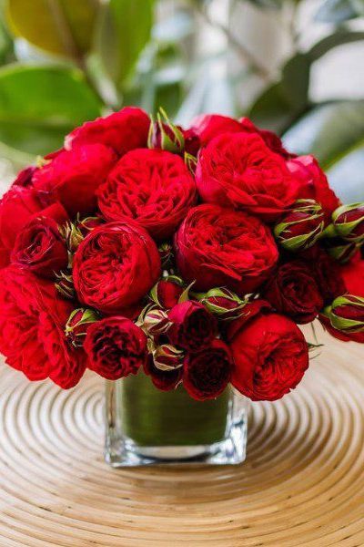 valentines 7