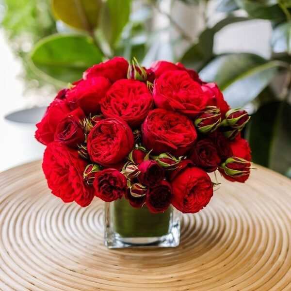 valentines 7