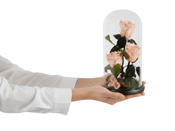 Preserved Roses Image 2